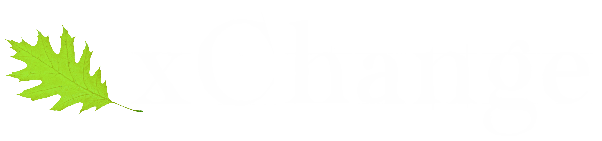 first logo